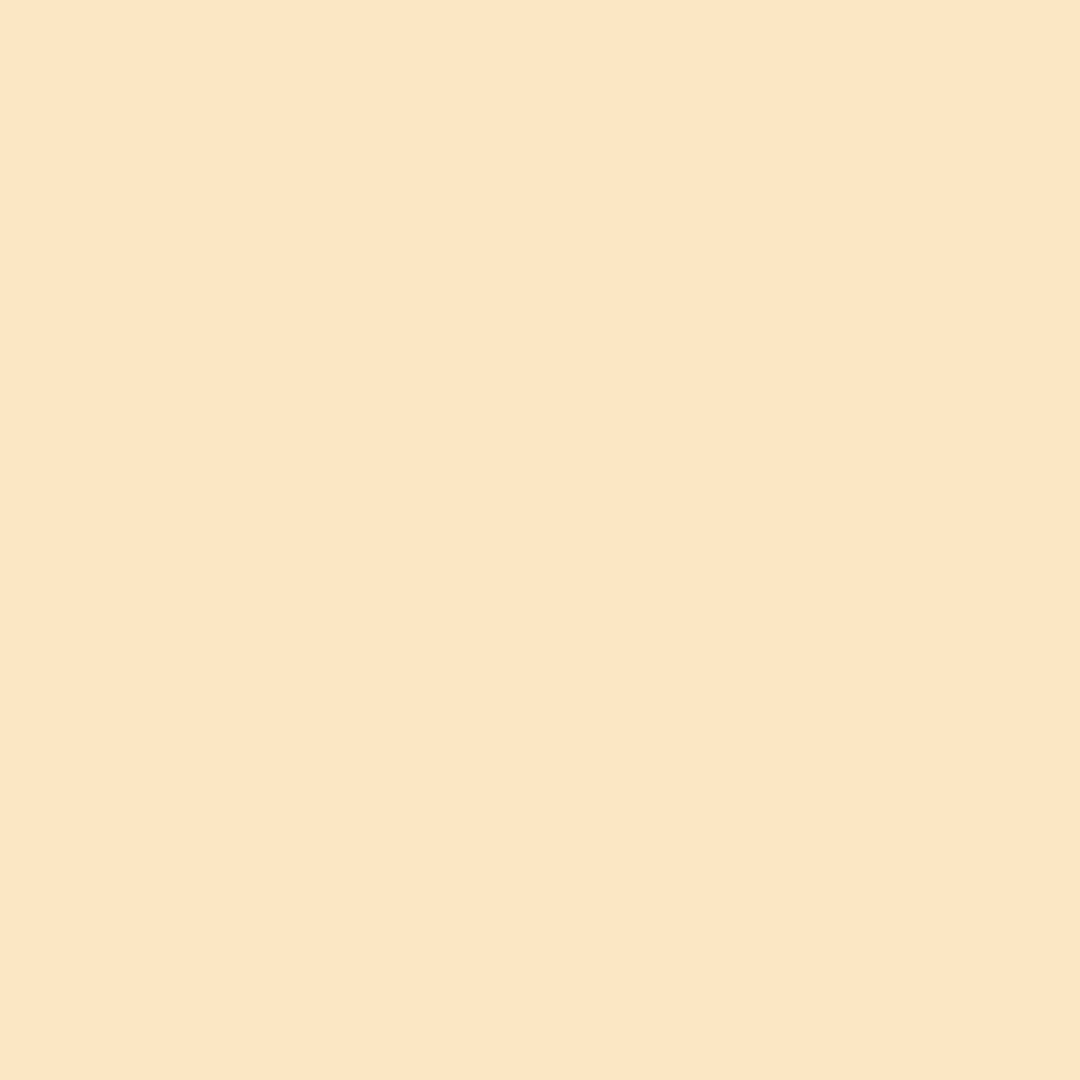 Soft Beige 2156-60 - Paint Colour – KLEINPAINT Decorating Centres